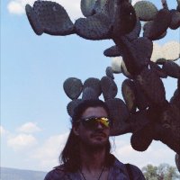 Tin Hadzi Veljkovic (@hvtin) 's Twitter Profile