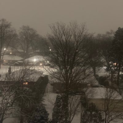 loseloseloselos's profile picture. 