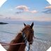 منيشا (@_m_h111) Twitter profile photo منيشا (@_m_h111) Twitter profile photo