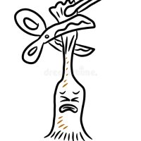 @CircPlace (@circplace) 's Twitter Profile Photo