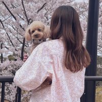 星︎︎@独身女 (@akarii2013) 's Twitter Profile