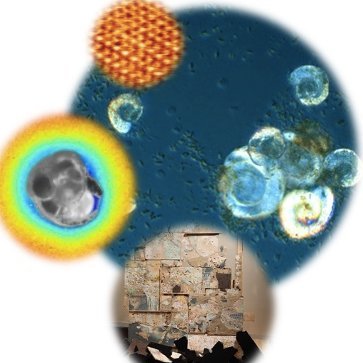 earthsci_art's profile picture. 