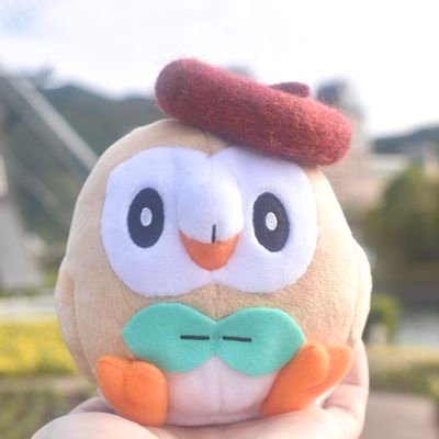 melonsan🌱 commopenさんのプロフィール画像