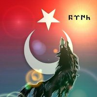 Hasan (@hasan54talha) 's Twitter Profile