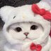 Emii🏳️⚧️ (@neko2439) Twitter profile photo Emii🏳️⚧️ (@neko2439) Twitter profile photo