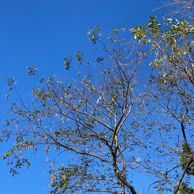 probablyjpg's profile picture. 