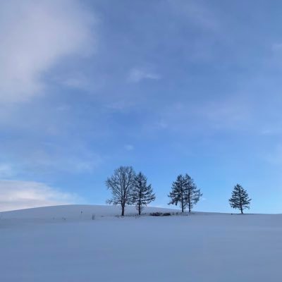 miina_568's profile picture. 