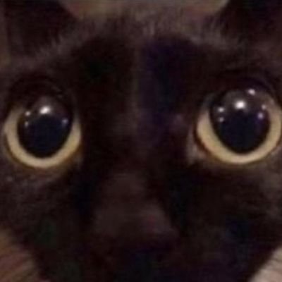 hambone1209's profile picture. 