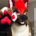 RinWusky (@rinwusky) Twitter profile photo