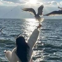 Ferhdea (@ferhdea169) 's Twitter Profile