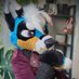 Clara ๐นโจ๐ ๐น๐ญ (@claracoydog) Twitter profile photo Clara ๐นโจ๐ ๐น๐ญ (@claracoydog) Twitter profile photo