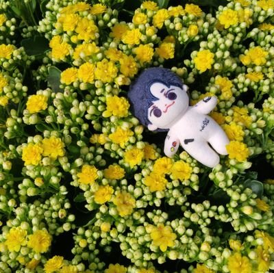 🧡💙csy_moodz_23💙🧡さんのプロフィール画像