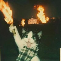 IpNp0int's profile picture. gnoma (慄,慄)