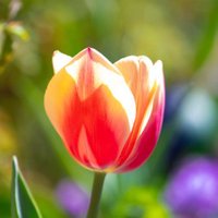 k-naka (@chamax8888) 's Twitter Profile Photo