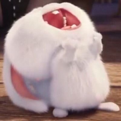 @marron72l