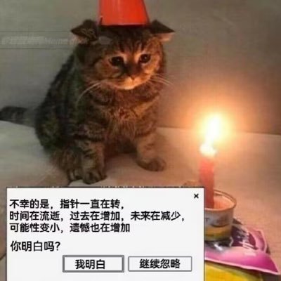 fantasque193403's profile picture. 