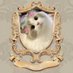 нaмтaвєöм 🐹 𝙛𝙩. ɴαnαɴυcнα♡ (@hamtabeom) Twitter profile photo нaмтaвєöм 🐹 𝙛𝙩. ɴαnαɴυcнα♡ (@hamtabeom) Twitter profile photo