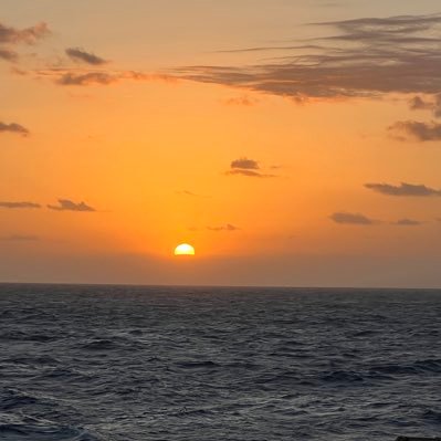 SusanC2025's profile picture. 