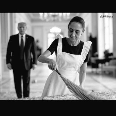 Conservador, Democracia, Instituciones, libertario, Uribista, DIOS, Patria, Imperio de la ley.