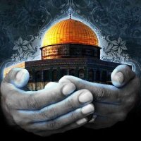 Şehadet Güvercini✍️ (@aksatufan269168) 's Twitter Profile Photo Şehadet Güvercini✍️ (@aksatufan269168) 's Twitter Profile Photo