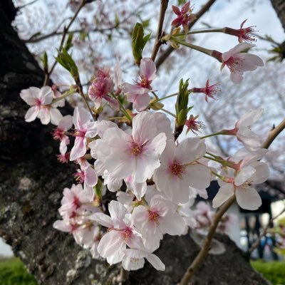 molira0611's profile picture. 趣味全開。18年ぶりくらいにガンプラ作成中2025年35Pデビュー🌸