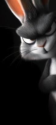 Olayemi70477344's profile picture. Very cool and gentle guy