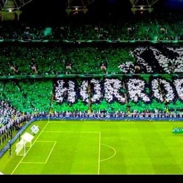 kshdkfkhc20's profile picture. لستُ إمرَأةً حَدِيديَّةٌ،لَگنِّي إمرَأةً تَعْلمُ جيداً متَى يجِبُ أنْ تَكونَ رجُلاً ومتَـى تتألَّقُ بِكامِلِ أُنوثَتِهـَـا 🤎