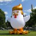 Trump Chicken (@trumpchickensol) Twitter profile photo Trump Chicken (@trumpchickensol) Twitter profile photo