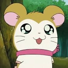 mallangcow1234's profile picture. 🩷