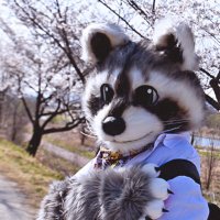 NROCK (アンラク) (앤락이) 🦝 🔜 FURST CLASS 🇰🇷 (@nrockraccoon) 's Twitter Profile Photo NROCK (アンラク) (앤락이) 🦝 🔜 FURST CLASS 🇰🇷 (@nrockraccoon) 's Twitter Profile Photo