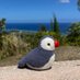 PVFFIN (@isleofpuffin) Twitter profile photo PVFFIN (@isleofpuffin) Twitter profile photo