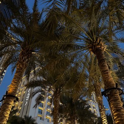 MayaEcom's profile picture. My personal journey - 1%