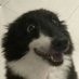 Part-time Dawg (@ad_ophelia_) Twitter profile photo Part-time Dawg (@ad_ophelia_) Twitter profile photo