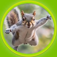Clive Esquirrel III (@cliveesquirrel) 's Twitter Profile