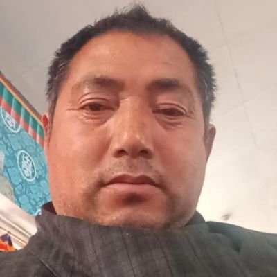 I am a language teacher and have been teaching for 27 years.