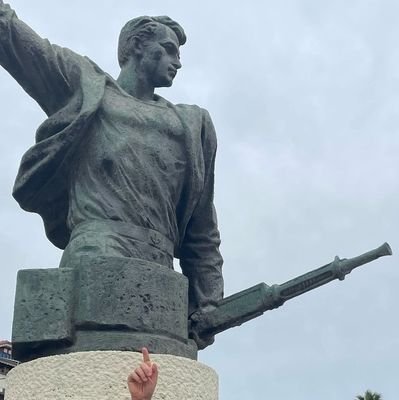 Berufsrevolutionaer