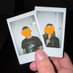 Soaked Duo (@soakedduo) Twitter profile photo Soaked Duo (@soakedduo) Twitter profile photo