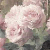 淡然 (@dam_yeon__) 's Twitter Profile