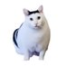 Bruh (@bruhcoinbsc) Twitter profile photo Bruh (@bruhcoinbsc) Twitter profile photo