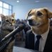 Cats & Dogs Universe (@catsanddogsmem) Twitter profile photo Cats & Dogs Universe (@catsanddogsmem) Twitter profile photo