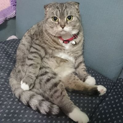 hinihini_taiwan's profile picture. ■台湾で生活している日台夫婦🇯🇵👨×🇹🇼👩
■2018〜2022台南 ⇒ 2022〜新北
■ブログ、Instagram、Threads等やっていません。ここのみでゆるくやっています。
■お気軽に絡んで下さい！(タメ口大歓迎🙆)
よろしくお願いします押忍！