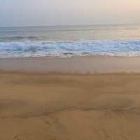 ehfbmfyj's profile picture. True art is characterized by an irresistible urge in the creative artist.