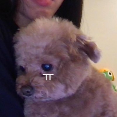 fan account : 𝒁𝑬𝑹𝑶𝑩𝑨𝑺𝑬𝑶𝑵𝑬ᴼᵀ⁹ 𝐛𝐢𝐚𝐬 박건욱 ㅣJinwook Alan ❤️❤️