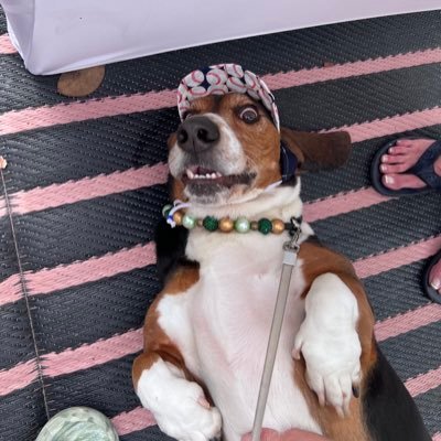 calebshaw1991's profile picture. 