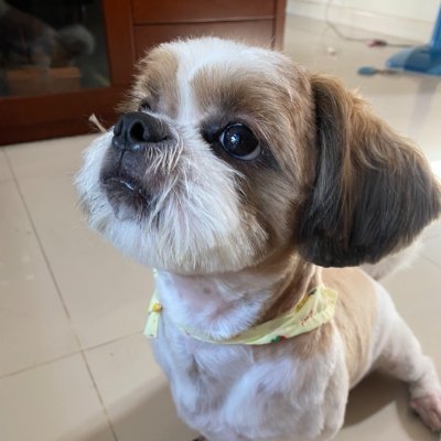 Noon8Ka's profile picture. KMADYEZE