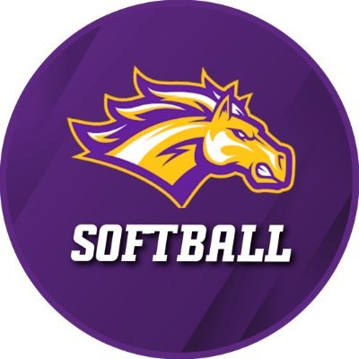 Rolling Meadows Softball Profile