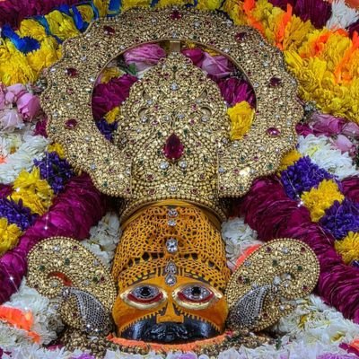 sheetaldhakad8 Profile Picture