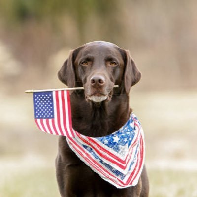 Starlin44205076's profile picture. “There is nothing wrong with America that faith, love of freedom, intelligence, and energy of her citizens cannot cure.”   No DM’s