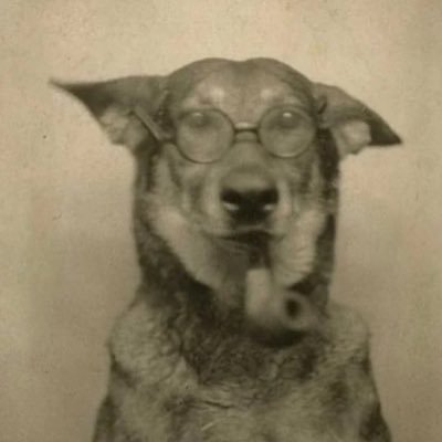 Savagesync96's profile picture. No Doubt 💯