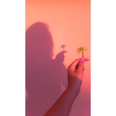 Rshreya_24's profile picture. A beautiful flower 🌹